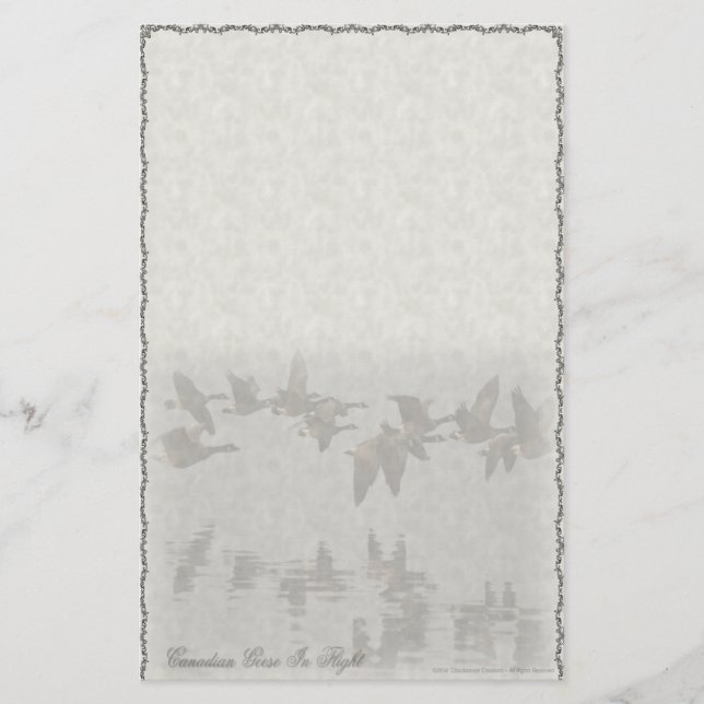 Canadian Geese In Flight Custom Stationery (Front)