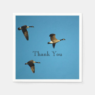 Canadian geese in flight   napkin