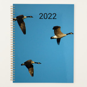Canadian geese in flight planner