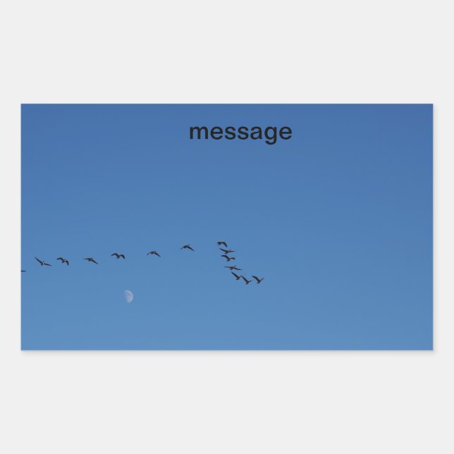 Canadian geese in flight sticker (Front)