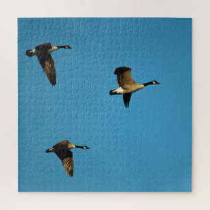 Canadian Geese Jigsaw Puzzle