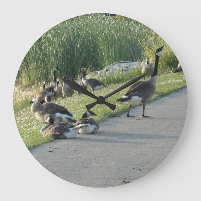 Canadian geese large clock (Front)