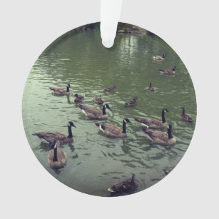 Canadian Geese & Mallard Ducks Ornament