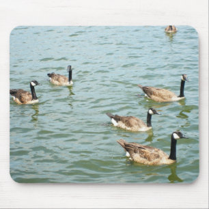 Canadian geese mouse pad