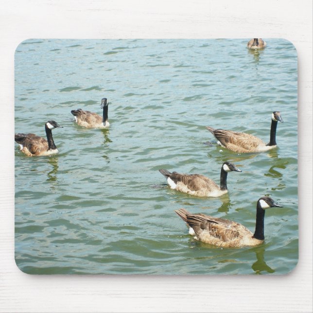 Canadian geese mouse pad (Front)