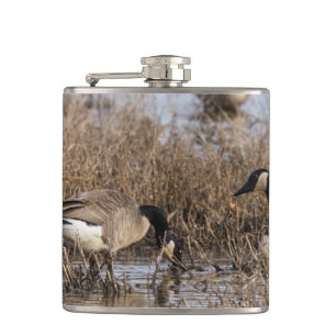 Canadian Geese Snack Time Hip Flask