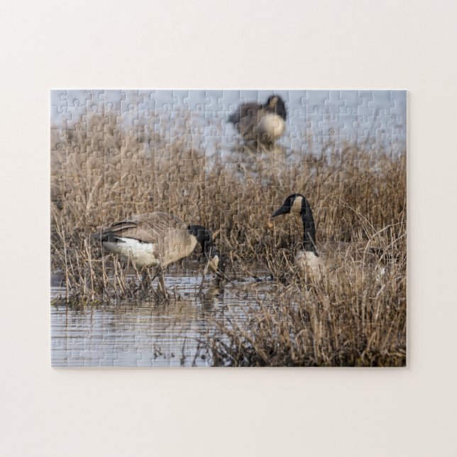 Canadian Geese Snack Time Jigsaw Puzzle (Horizontal)