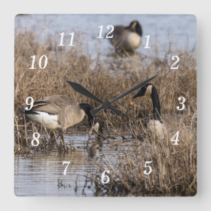 Canadian Geese Snack Time Wall Clock