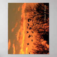 Canadian Geese Sunset Silhouette Wood Poster. Woo