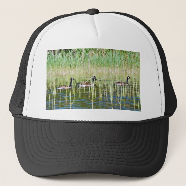 Canadian Geese Swimming Trucker Hat (Front)