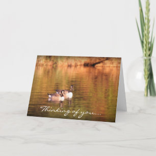 Canadian geese - thinking of you card