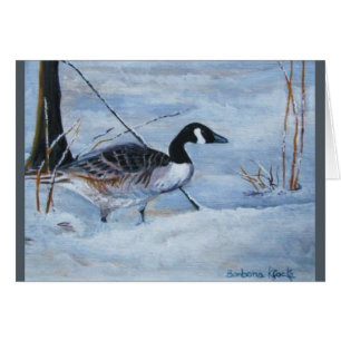 Canadian Goose