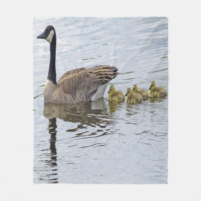 Canadian Goose And Goslings Fleece Blanket (Front)