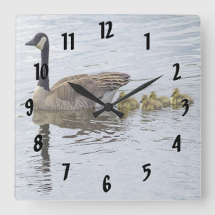 Canadian Goose And Goslings Square Wall Clock
