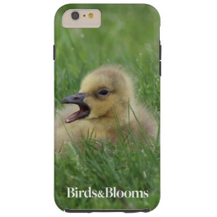 Canadian Goose Chick Tough iPhone 6 Plus Case