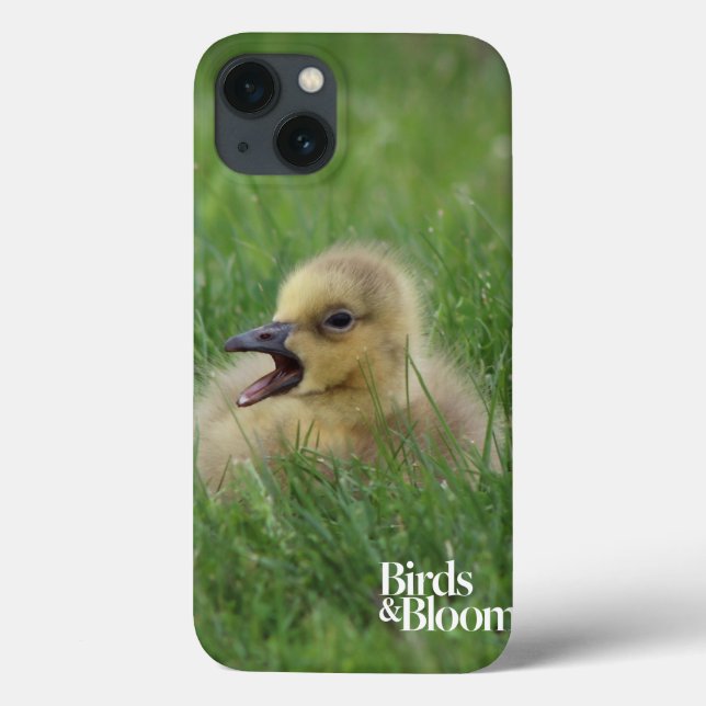 Canadian Goose Chick Case-Mate iPhone Case (Back)