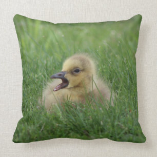 Canadian Goose Chick Throw Pillow