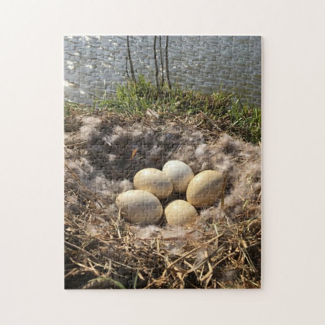 Canadian Goose Egg Nest On A Pond Bank Jigsaw Puzzle (Vertical)