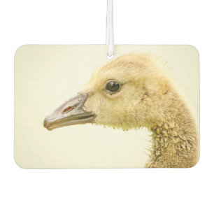 Canadian Goose (Gosling) Air Freshener