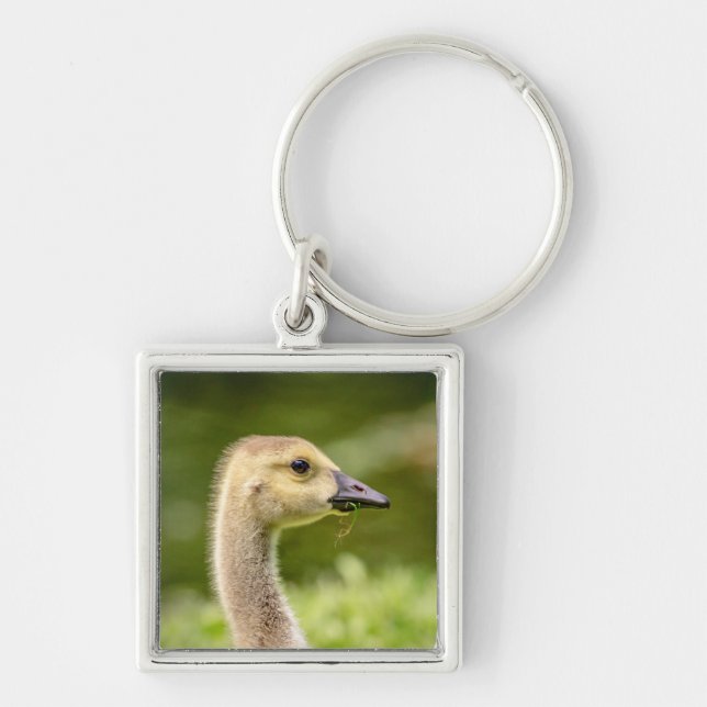 Canadian Goose (Gosling) Keychain (Front)