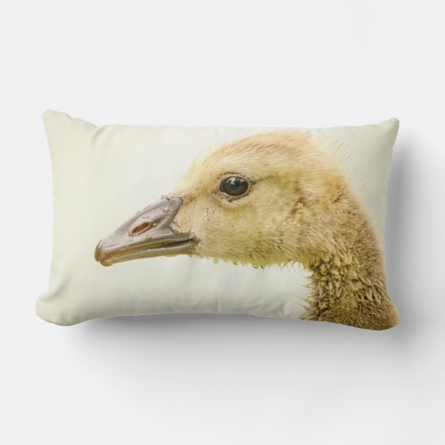 Canadian Goose (Gosling) Lumbar Pillow (Front)