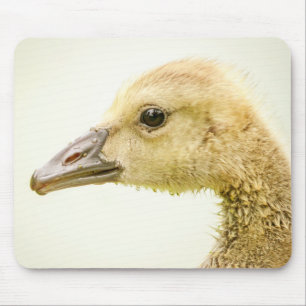 Canadian Goose (Gosling) Mouse Pad