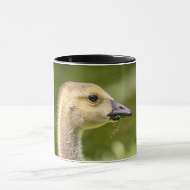 Canadian Goose (Gosling) Mug (Center)