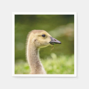 Canadian Goose (Gosling) Napkin