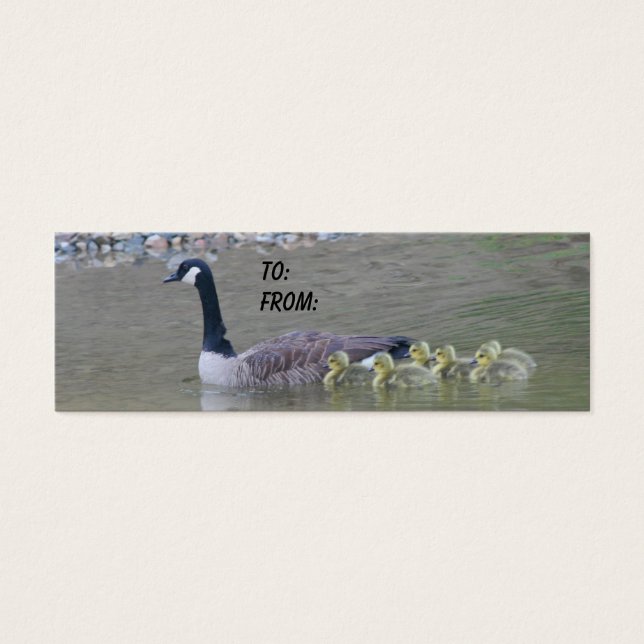 Canadian Goose Mom Babies Nature Gift Tag (Front)