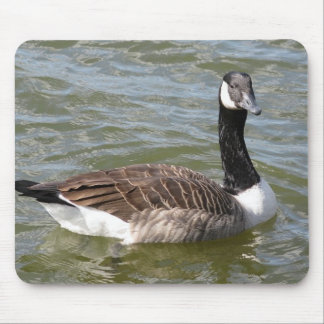 Canadian Goose Mouse Pad