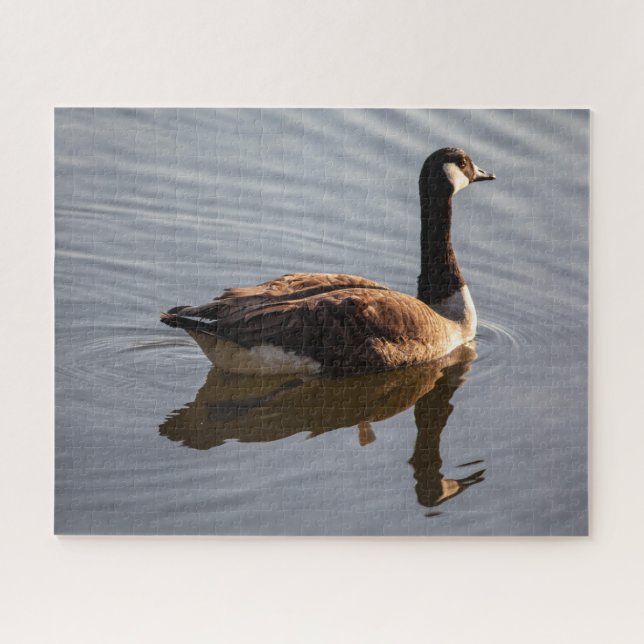 Canadian Goose on Lake Jigsaw Puzzle (Horizontal)