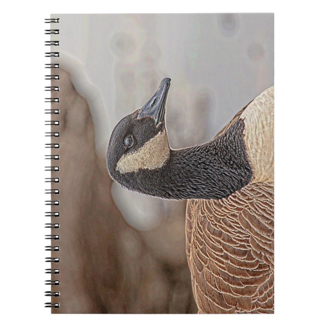 Canadian Goose Portrait Notebook (Front)