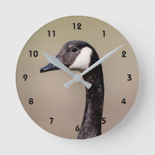 Canadian Goose Portrait Round Clock