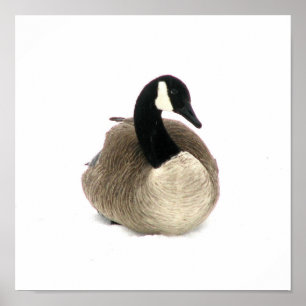 Canadian Goose Poster