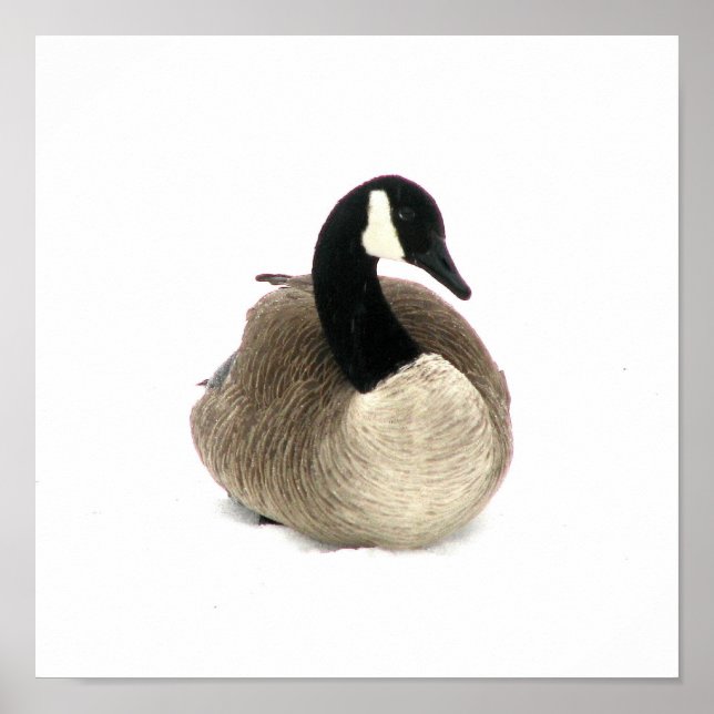 Canadian Goose Poster (Front)