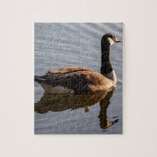 Canadian Goose Swimming on Lake Jigsaw Puzzle