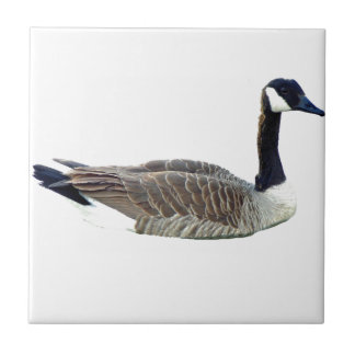 Canadian Goose Tile
