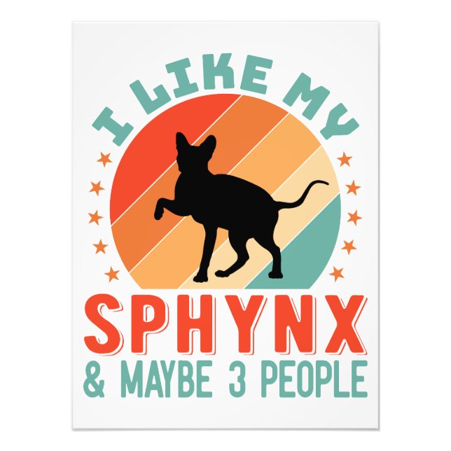 Canadian Hairless Sphynx Cat Owner Humour Photo Print (Front)