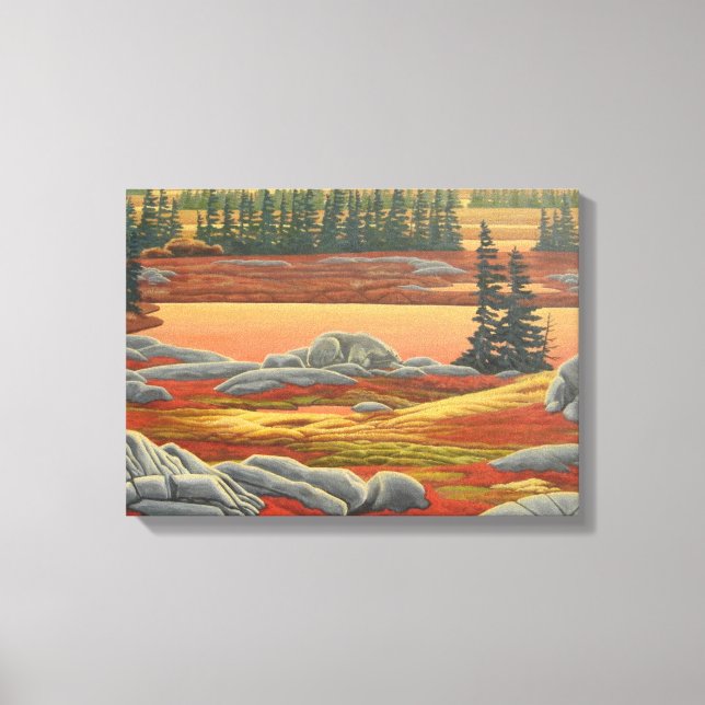 Canadian Landscape Painting Bear Canvas Print (Front)