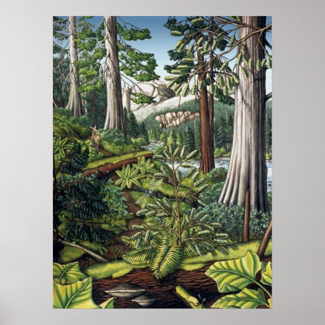 Canadian Landscape Painting Print by Kim Hunter (Front)