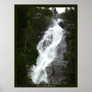 Canadian Landscape West Coast Forest Art Print