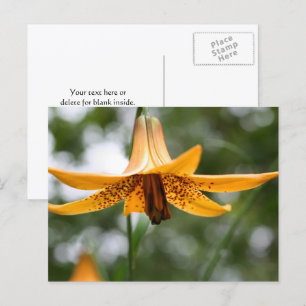 Canadian Lily Flower Photography Personalized Postcard