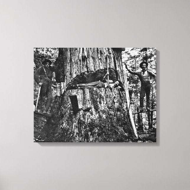 CANADIAN LOGGERS c. 1890 Canvas Print (Front)