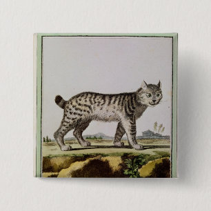Canadian Lynx 2 Inch Square Button
