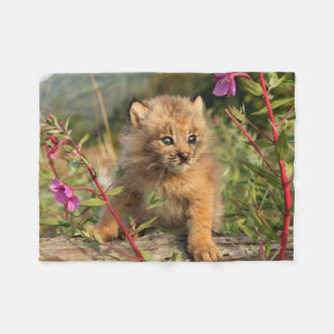 Canadian Lynx Kitten, Alaska Fleece Blanket