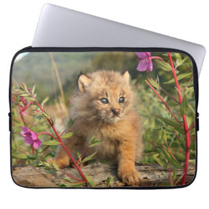 Canadian Lynx Kitten, Alaska Laptop Sleeve