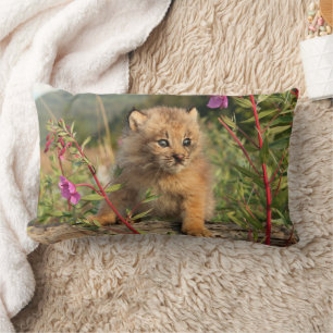 Canadian Lynx Kitten, Alaska Lumbar Pillow
