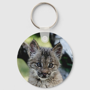Canadian Lynx Kitten Keychain