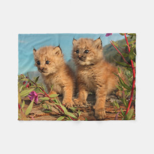 Canadian Lynx Kittens, Alaska Fleece Blanket