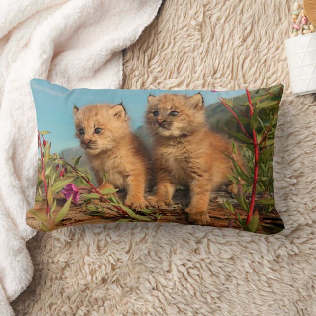 Canadian Lynx Kittens, Alaska Lumbar Pillow (Blanket)